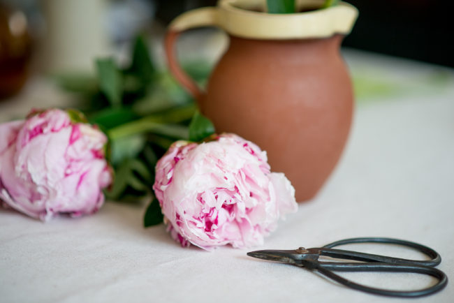 Fresh peonies - photo by Katie McCullough